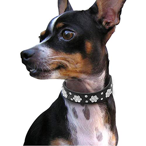 haoyueer Rhinestone Dog Collar - Image 4