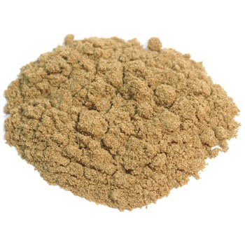 yƖpzfBV[hipE_[jy500gz/XpCXEn[uEhE