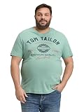 TOM TAILOR 1037735 Camiseta, 22577-Dust Green, M Hombres