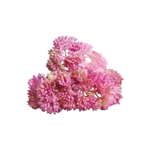 lHA 4 AȃtFCNO[  ItBX EFfBO p[eB[  ჁeiX  fXN I K[fp(Dark Pink,4PCS)