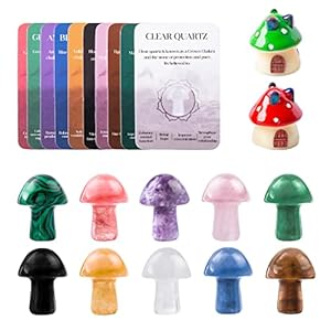 10 pcs Crystal Mushroom Natural Healing Chakra Balancing Mini Stones Sculpture Hand Carved Agate Gemstones Mushroom Shape for Home Decor (10pcs)