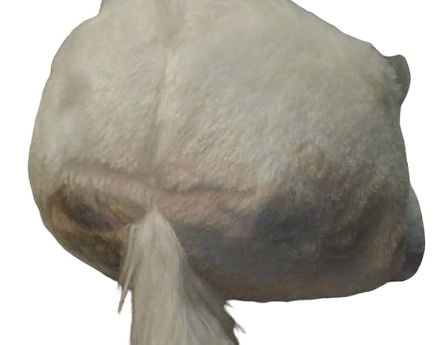 Amazon.co.jp: 競馬ぬいぐるみ 白馬 ソダシ 30cm 白メンコ