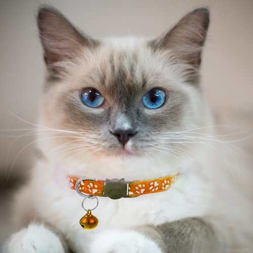 Hepplly Cat Collar, 2-Pack Reflective Nylon Kitten Collar with Bell, Adjustable Length from 19cm to 32cm - Image 2