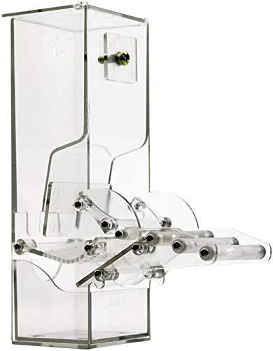 Adhere To Fly - Herramienta de alimentación para loros (acrílico resistente, sistema automático de alimentación de una sola mano)