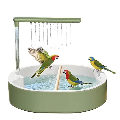 Bain d'oiseaux automatique pour stimuler l'instinct de bain des perruches stressées