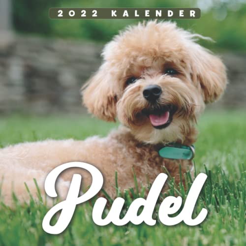 Pudel Kalender 2022: 12-Monats-Kalender von Jan 2022 bis Dez 2022. Platz für Notizen. Es ist ein perfektes Geschenk für einen geliebten Menschen
