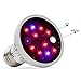 Produktbild LiQinKeJi8 Plant Growth Lampe P20-12W Kleine Cup mit Deckel (kurz) LED-Betriebslicht Breitbandpflanzenwuchslicht Innen Sonnenlicht Aufhellen Füllen (Size : E27-12W)