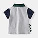 Little Boys Short Sleeve Polo Shirt Dino Printed Toddle Kid Cute Summer Causal Tee Color Block Fashion Pullover Top (Gray,90/18-24 M,Unisex,Big Kid,US,Age,18 Months,24 Months)