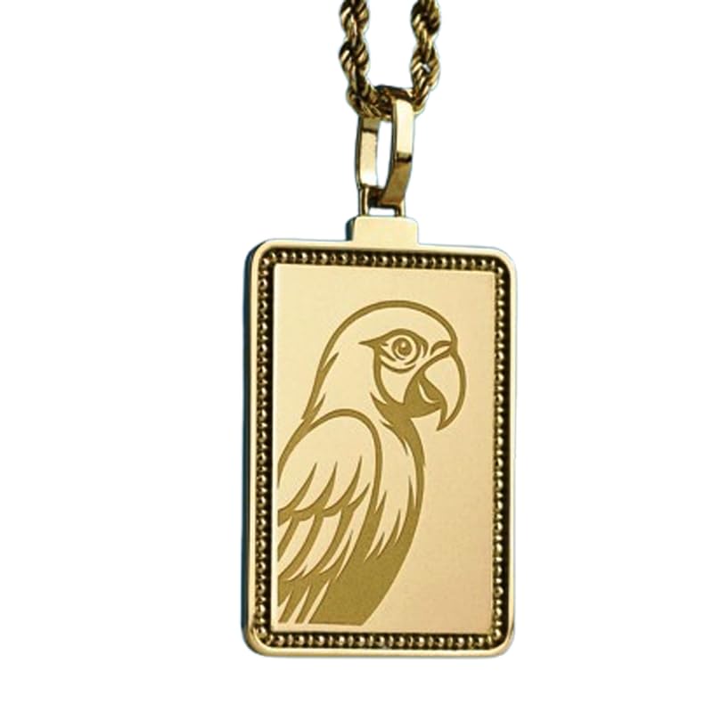 Collier perroquet gravé argent anti-ternissement chaîne 45 cm