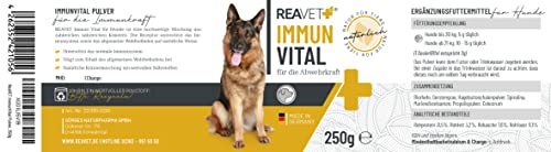 ReaVET Immun Vital für Hunde - Immunsystem & Abwehrkräfte stärken I Vitamine für Hunde, Aufbau Immunsystem, Nährstoffreich & mit Vitamin C, Mineralien, Multivitamin-Pulver 250g