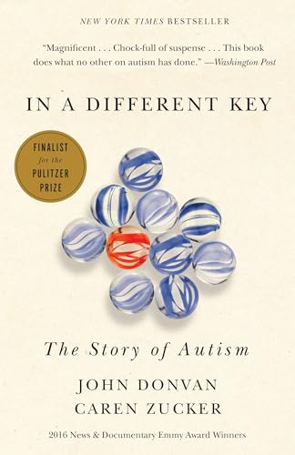 In a Different Key view 2