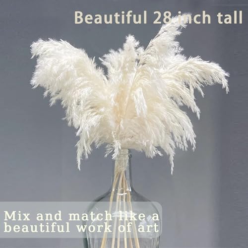 Image of 30 Stems 28 inch inch Large White Pampas Grass Fluffy, Boho Home Decor, Natural Fluffy Pompas Grass Pampas for Living Room Decor, Table Decor, Boho Decor Floor, Party Wedding Decor