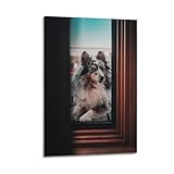 Poster décoratif sur toile représentant un border collie bleu Merle (50 x 75 cm)