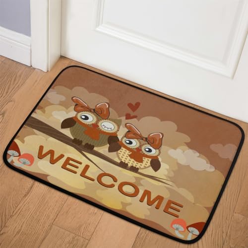 Washable Door Mats Outdoor Indoor - Entrance Rugs Kitchen Mat Barrier Dirt Trapper Home Hallway Doormat Rug for Inside, Patio, Hallway, Entryway, Front Back Door, Absorbent Non-Slip , 20 x 31inch, Owl