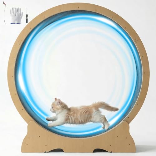 POLAHAKU Cat Exercise Wheel - 48 Inch