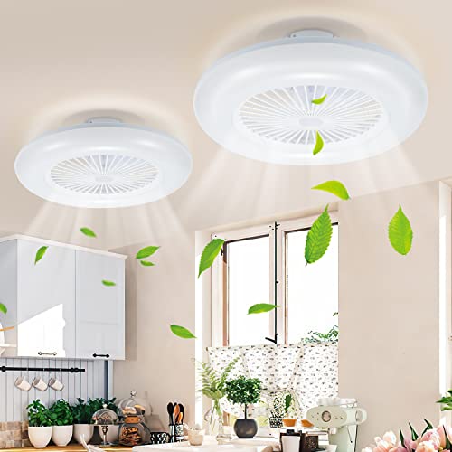 Daromigo Deckenventilator Mit Beleuchtung, 2x80W LED Stufenloses Dimmen Ventilator Beide Richtungen...