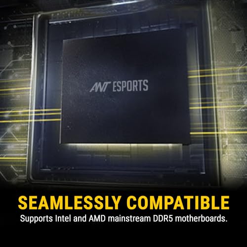 Image of Ant Esports 690 NEO FP 32GB (1 * 32GB) DDR5 5200 MHz CL 42-42-42-84 288-PIN U-DIMM Desktop Memory - AE32GD5U52M16C