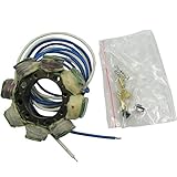 Ricks Motorsport Electric Stator 21-636