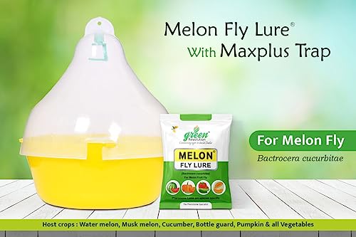Green Revolution Maxplus Melon Fruit Fly Pheromone Trap With Lure Combo Pack, Yellow