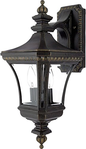 Quoizel De8976Ib Devon Outdoor Lantern Wall Sconce, 2-Light, 120 Watts, Imperial Bronze (21" H X 9" W) #TOP1