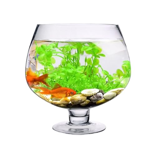 Acuario pequeño de vidrio resistente que evita fugas pecera compacta de mesa 2