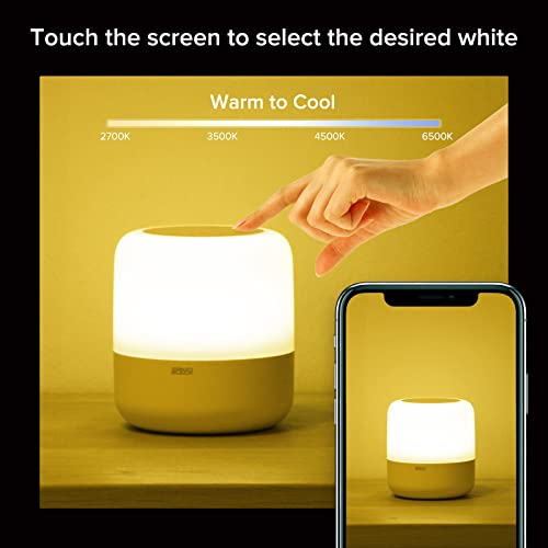 SANSI Lampada da tavolo Touch Night Light, lampada...