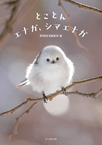 とことんエナガ、シマエナガ