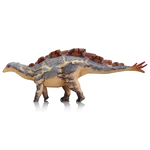 AMITD Wuerhosaurus JiaoTin le cadeau idéal pour amateur d'histoire naturelle