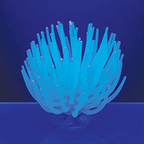 Anémona Tetra ColorFusion Coleção Blooming, decoração de aquário, combina com luz LED Tetra ColorFus