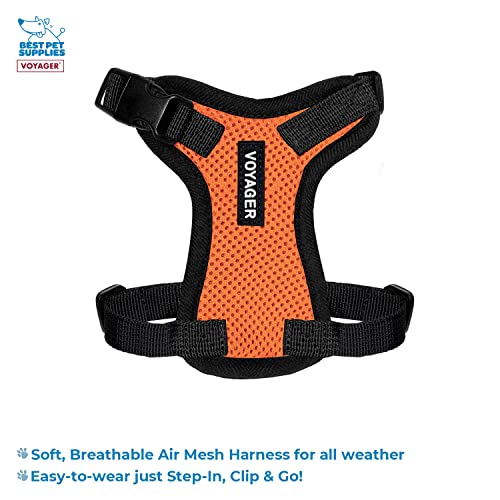 Image of Best Pet Supplies Voyager Step-in Lock Pet Harness w Reflective Pet Leash Combo Set with Neoprene Handle 5ft - Supports Small, Medium and Large Breed Puppies /Cats - Orange /Black Trim, XXXS