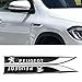 CXRUGZCB Car Body Chrome Side Emblem Stickers, Side Wing Emblem Badge Stickers, Styling Decoration Decal Accessories, for Peugeot 107 108 206 207 308 307 508 2008 3008