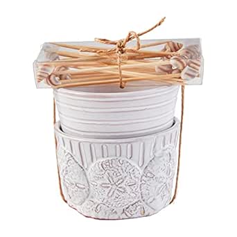 Amazon.com: Mud Pie Sand Sea Shell Ramekins; Ramekin 2