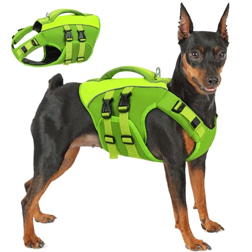 Queenmore Green X-Large Dog Life Jacket Adjustable Reflective Dog Swimming Vest Superior Buoyancy High Floating Pet Life Vest for Swimming