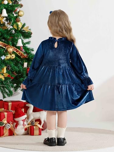 AlisOker Baby and Toddler Girls Velvet Dresses Christmas Dress Long Sleeve Birthday Party Playwear Dress Fall Winter Clothes Navy