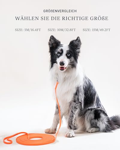 Japosy Schleppleine für Hunde, 5m / 10m / 15m Schleppleine mit Handschlaufe, Wasserdicht Trainingsleine für Große bis Kleine Hunde, Robuste & wetterfeste Hundeleine