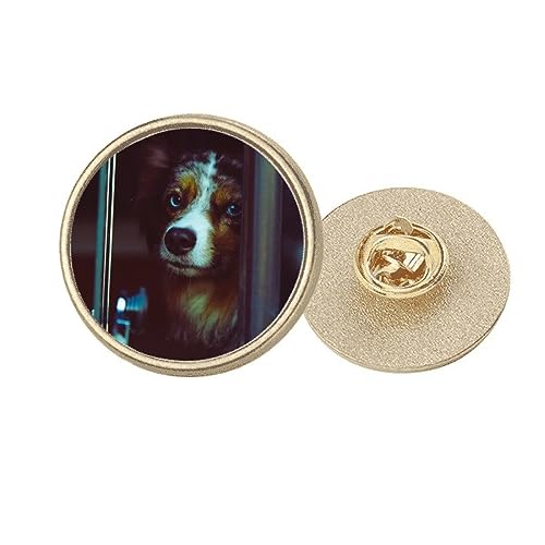 Broche ronde pour chien dorée accessoire pour les promenades en ville