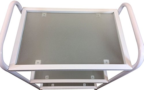 DevLon NorthWest Rolling Glass Trolley Cart 3 Glass Shelves Beauty Spa Hair White Salon Equipment