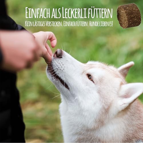 Schnüffelfreunde Juckreiz Drops für Hunde I bei trockener Haut & Schuppen I unterstützt Fell & Haut beim Hund von innen I mit Schwarzkümmelöl, Kokosöl, Kamille (150g - ca. 180 Stück)