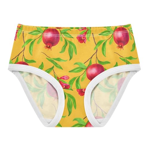 Red Floral Pomegranates Yellow Girls Underwear Toddlers 2t Cotton Cute Panties Girl Print Briefs Undies Kids