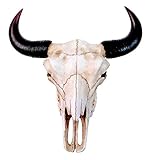 Täuschend echte hochwertige Nachbildung eines Büffelschädels