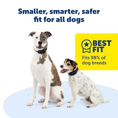 PetSafe Guardian GPS 2.0 Dog Fence + Tracking – Wireless Dog Fence with Reliable Dual Frequency GPS Tracking – Smaller Collar for All Breeds 10 lbs and Above – Subscription Required