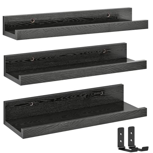 Best Wall Shelf With Lip Perfect For Displaying And Storing Books