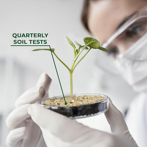 BuildASoil Fertilizer for Vegetable Garden and Organic Plant Food | Hand-Crafted Organic Fertilizer with 15 Premium Ingredients | Ensures Larger Plants and More Fragrant Flowers (10 LB - Medium Bag)