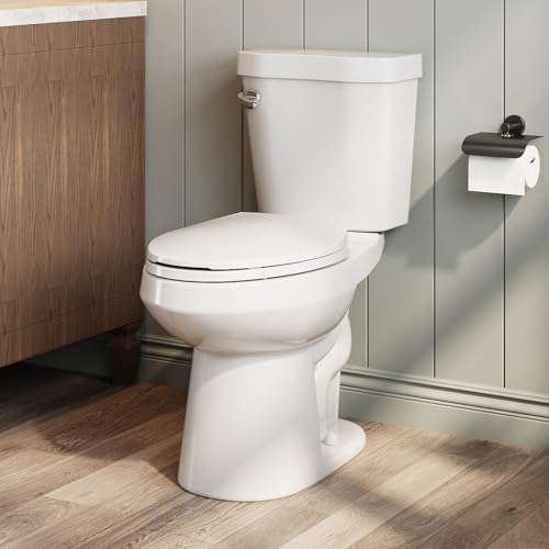 HOROW 17 Inch High Elongated Toilet with ADA Chair Height, Two Piece Toilet with Ultra Saving 1.0 GPF Single Flush, MAP 1000g, Extra Tall Bowl Suitable for Tall Person & Seniors