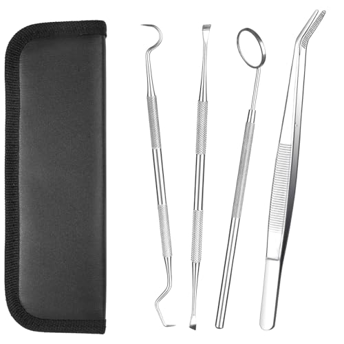 AOOWU 4 PCS Juego de Cuidado Dental, Dientes Limpieza Herramienta de Acero Inoxidable, Removedor de Sarro, Equipo de Cuidado Dental para Hombres Mujeres Niños y Mascota Cuidado