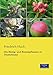 Produktbild Die Honig- und Bienenpflanzen in Deutschland