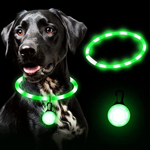 FORMIZON Collier Chien Lumineux 2 Pièces, Collier LED pour Chien Rechargeable USB, 4 Modes Imperméable Collier Lumineux Réglable, Collier pour Chiens de sécurité pour Petits, Moyens et Grands Chiens