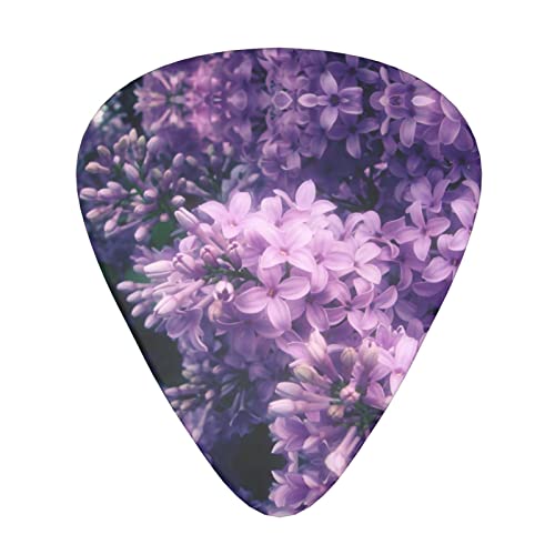 Ensemble de 12 médiators de guitare Purple Flowers pour guitare acoustique, guitare électrique, contrebasse, ukulélé - Les Beatles, Paul McCartney, John Lennon, RIngo Starr, George Harrison Ensemble de 12 médiators de guitare Purple Flowers pour guitare acoustique, guitare électrique, contrebasse, ukulélé
