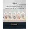 Elmhurst 1925 French Vanilla Oat Creamer - 16 Ounce (Pack of 6) Dairy-Free, Vegan, Kosher, Low Sugar, Shelf Stable Creamer Made with Water & Oat Grains for Healthier, Simpler Plant Based Alternatives