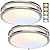 36W 12Inch LED Ceiling Light Fixtures, Flush Mount Light Fixtures, 5CCT 2700K 3000K 4000K 5000K 6500K, Close to Ceiling Light for Kitchen Bathroom Kitchen Bedroom, Super Bright 3800LM, Nickel, 2 Packs